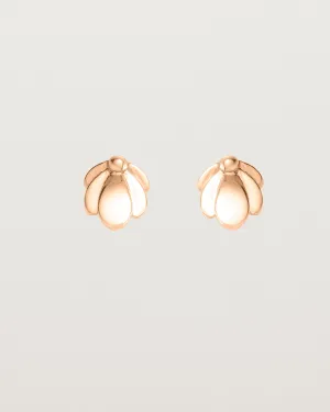 Aeris Studs