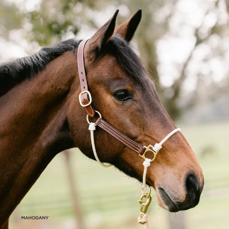 Leather Lariat Hybrid Headcollar