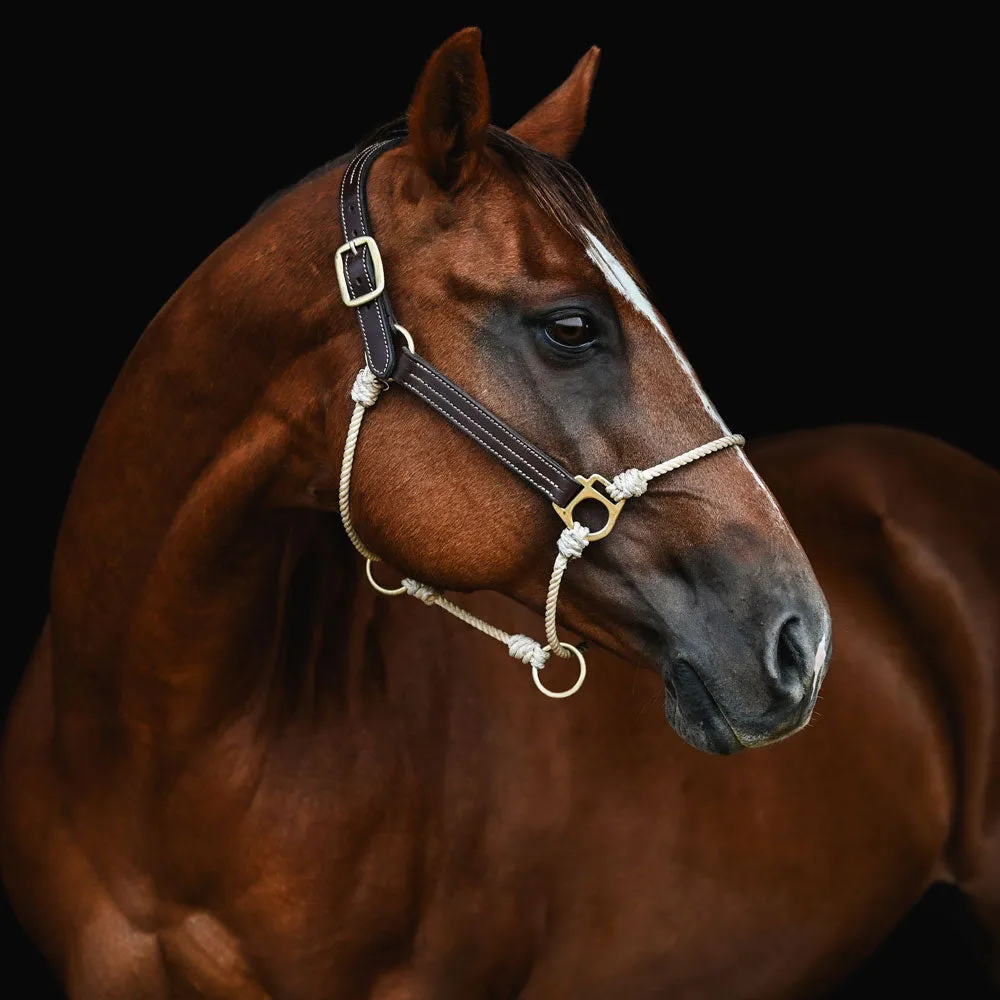 Leather Lariat Hybrid Headcollar