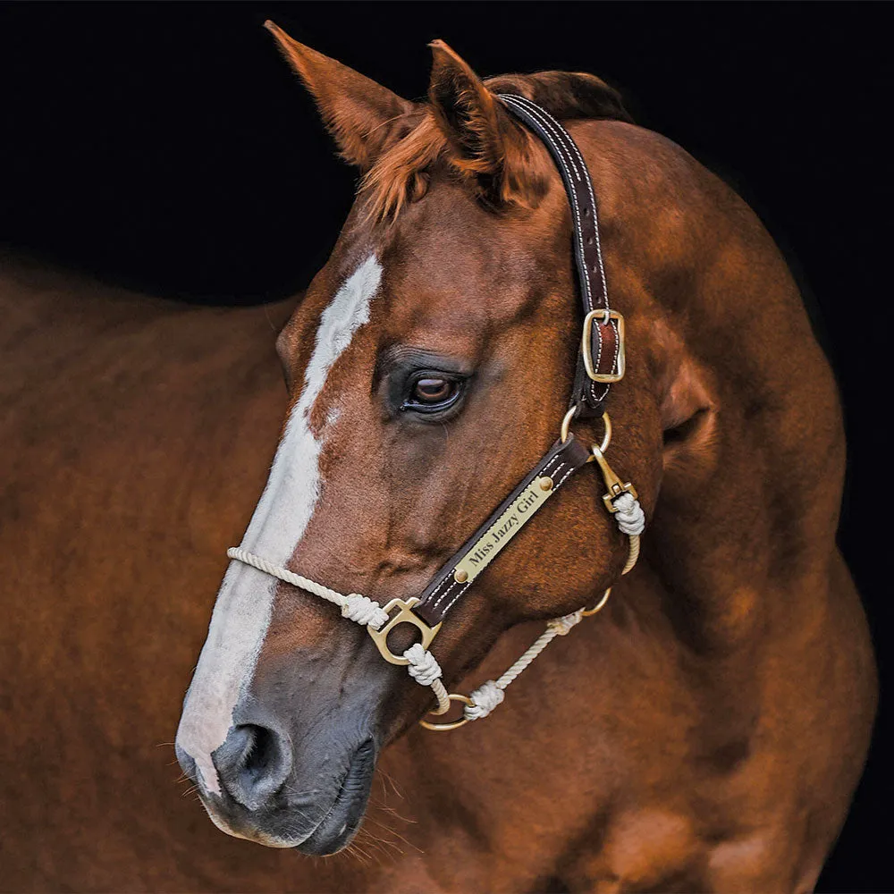 Leather Lariat Hybrid Headcollar