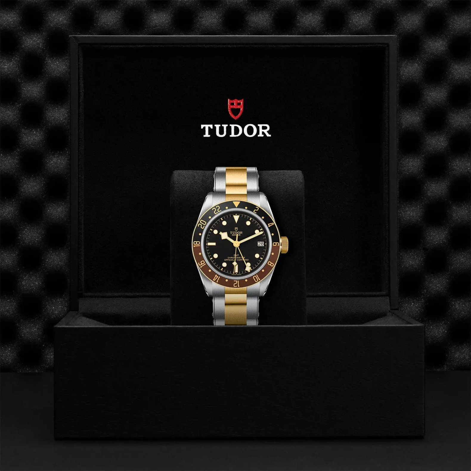 TUDOR Black Bay GMT S&G 41mm Case, Black Dial, Steel and Yellow Gold Bracelet (M79833MN-0001)